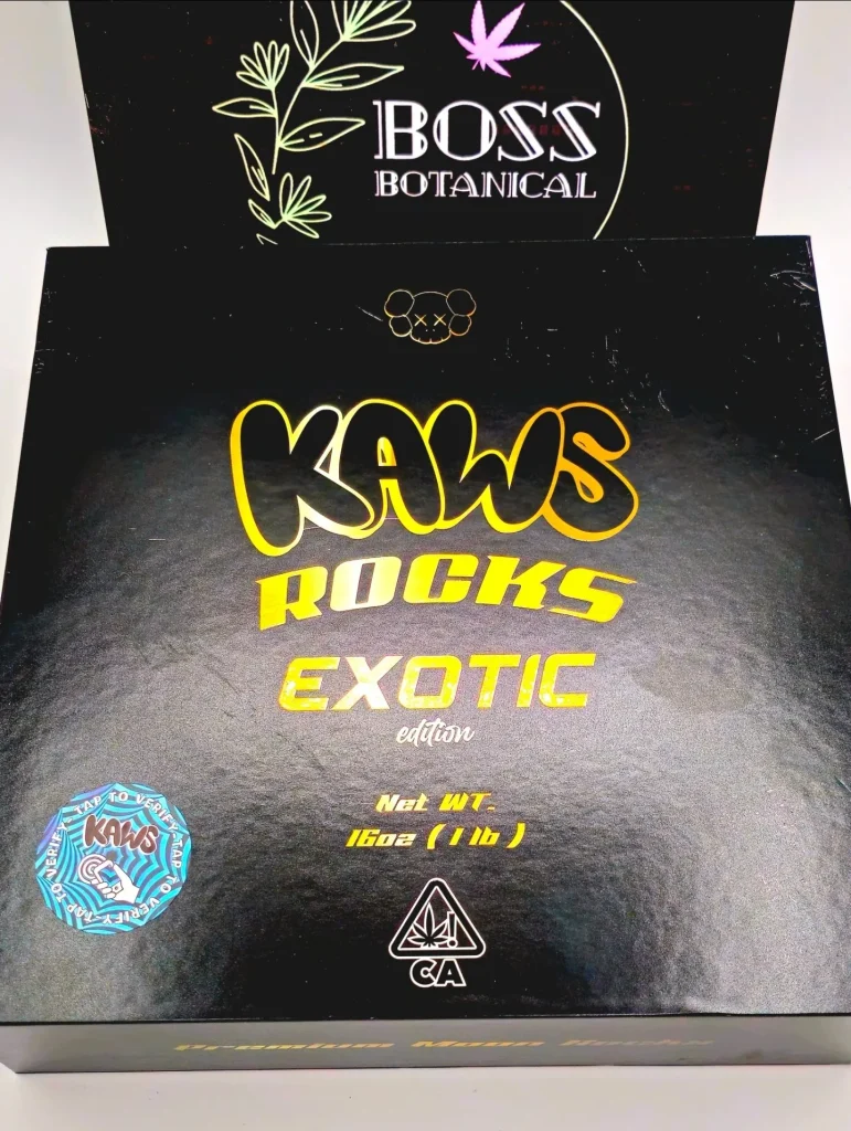 Kaws Rocks Exotic Edition